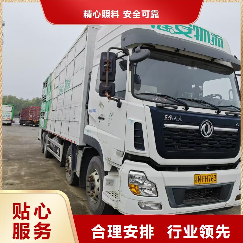 宿遷市沭陽到仔豬空調(diào)車運(yùn)輸準(zhǔn)時(shí)準(zhǔn)點(diǎn)