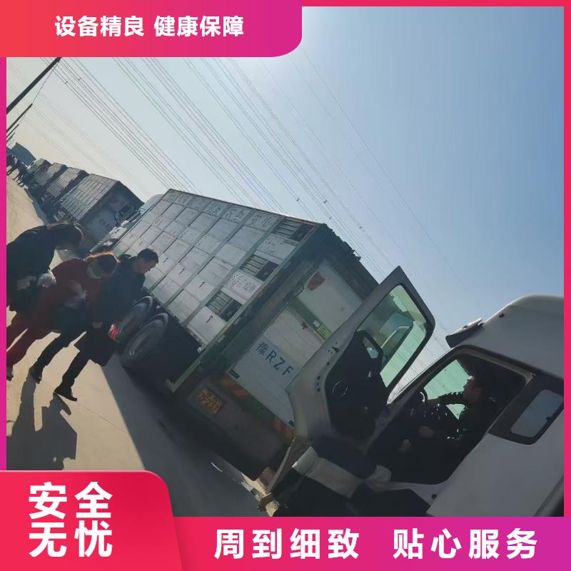 宿遷市沭陽到豬運輸安靜舒適