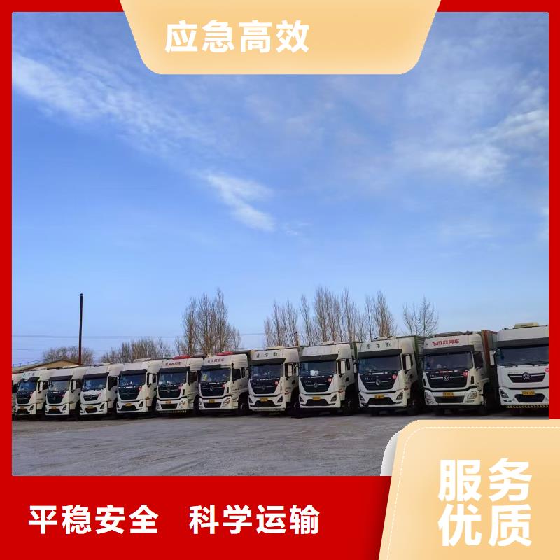 宿遷市沭陽到仔豬空調(diào)車運(yùn)輸準(zhǔn)時(shí)準(zhǔn)點(diǎn)