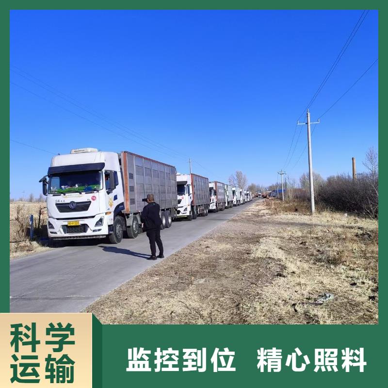 宿遷市沭陽到仔豬空調(diào)車運(yùn)輸準(zhǔn)時(shí)準(zhǔn)點(diǎn)