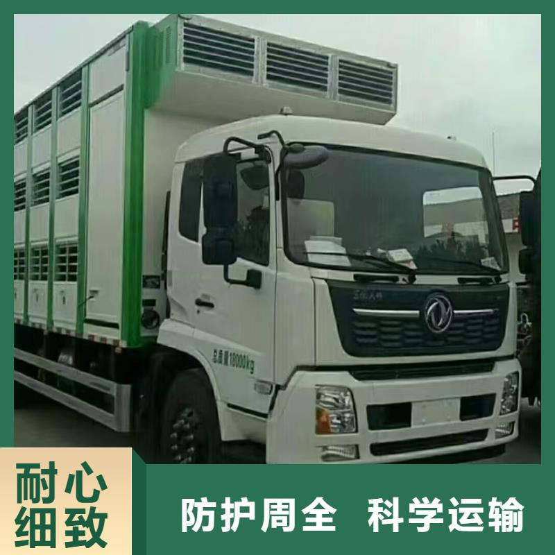 宿遷市沭陽到豬運輸安靜舒適
