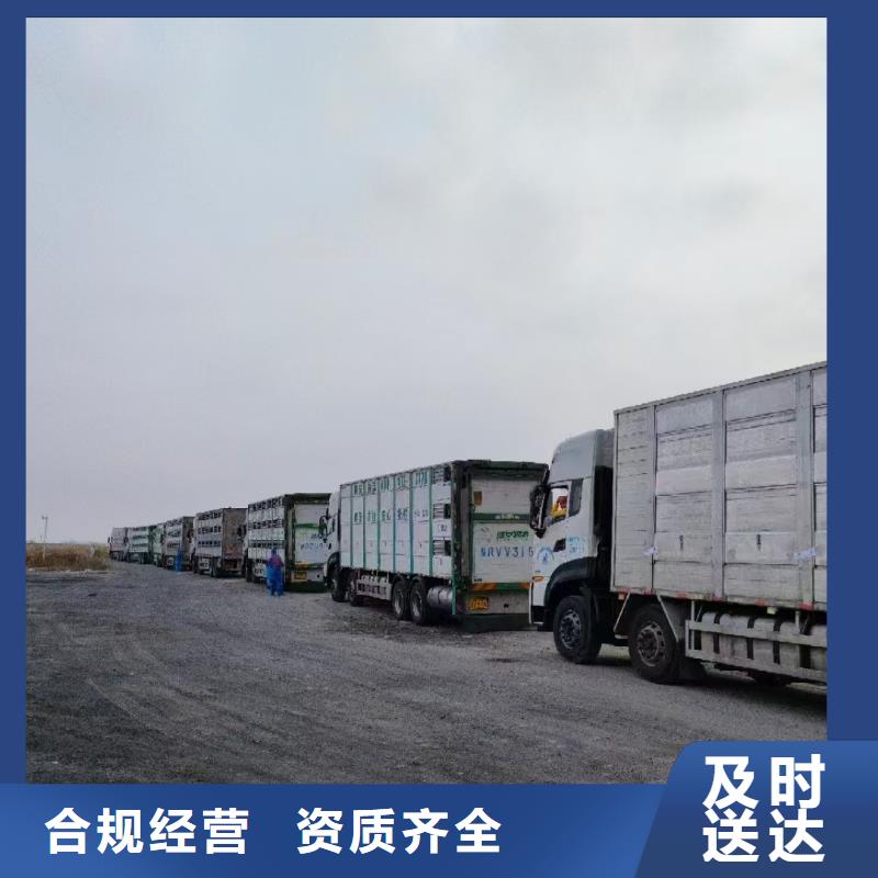 宿遷市沭陽到豬運輸安靜舒適