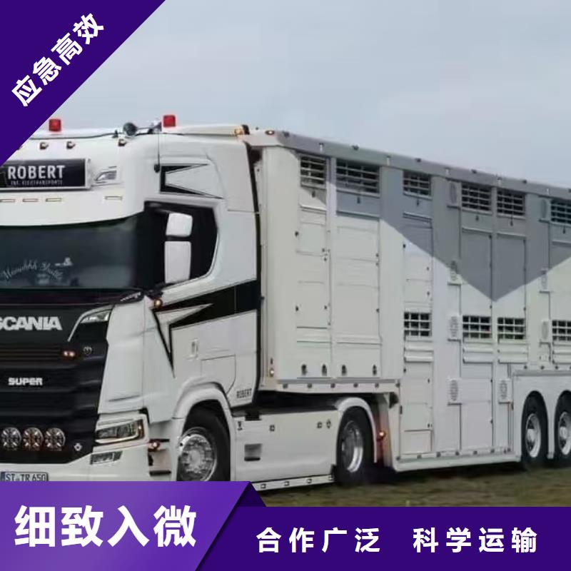 宿遷市沭陽到豬運輸安靜舒適