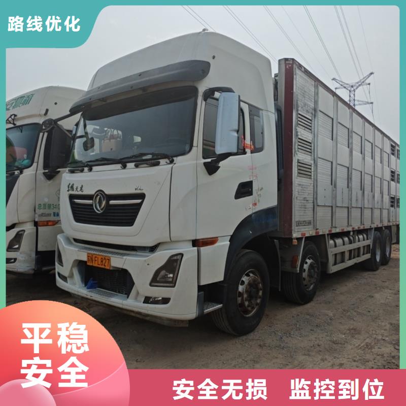 宿遷市沭陽到仔豬空調(diào)車運(yùn)輸準(zhǔn)時(shí)準(zhǔn)點(diǎn)