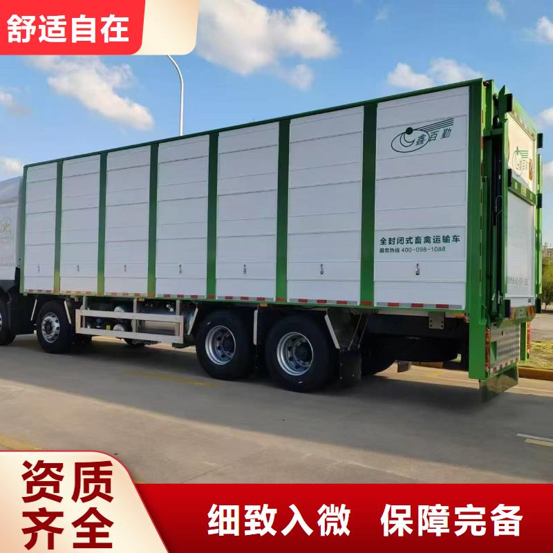 宿遷市沭陽到仔豬空調(diào)車運(yùn)輸準(zhǔn)時(shí)準(zhǔn)點(diǎn)