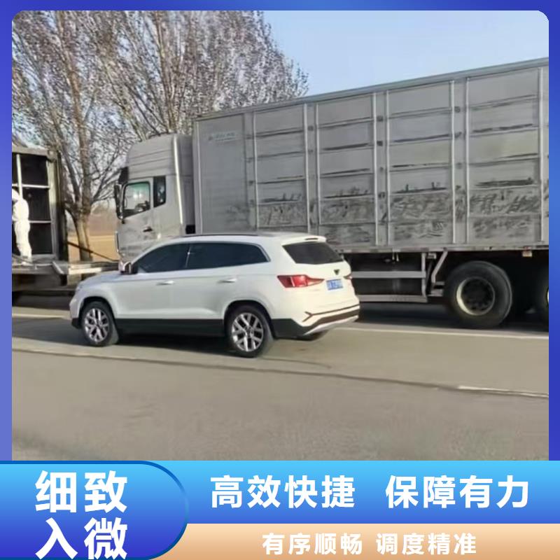 宿遷市沭陽到仔豬空調(diào)車運(yùn)輸準(zhǔn)時(shí)準(zhǔn)點(diǎn)