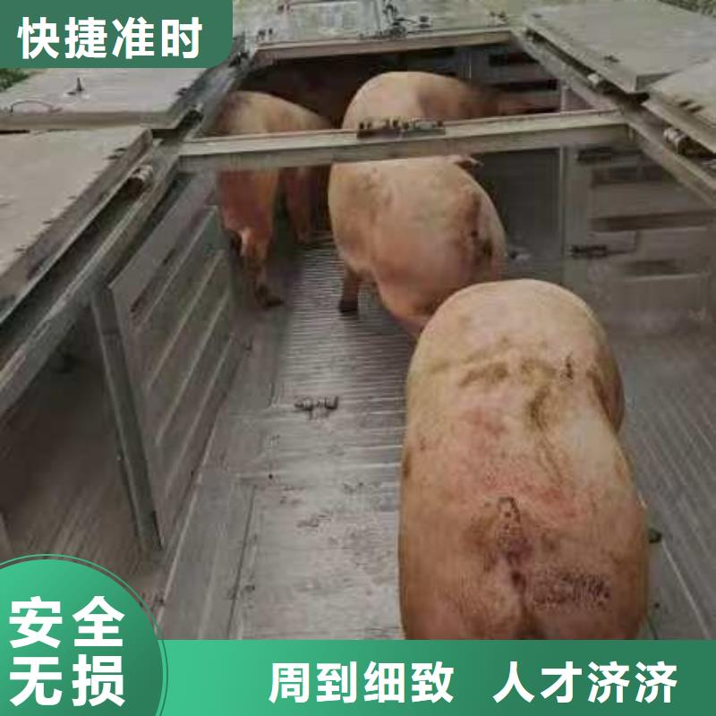 宿遷市到原料運輸