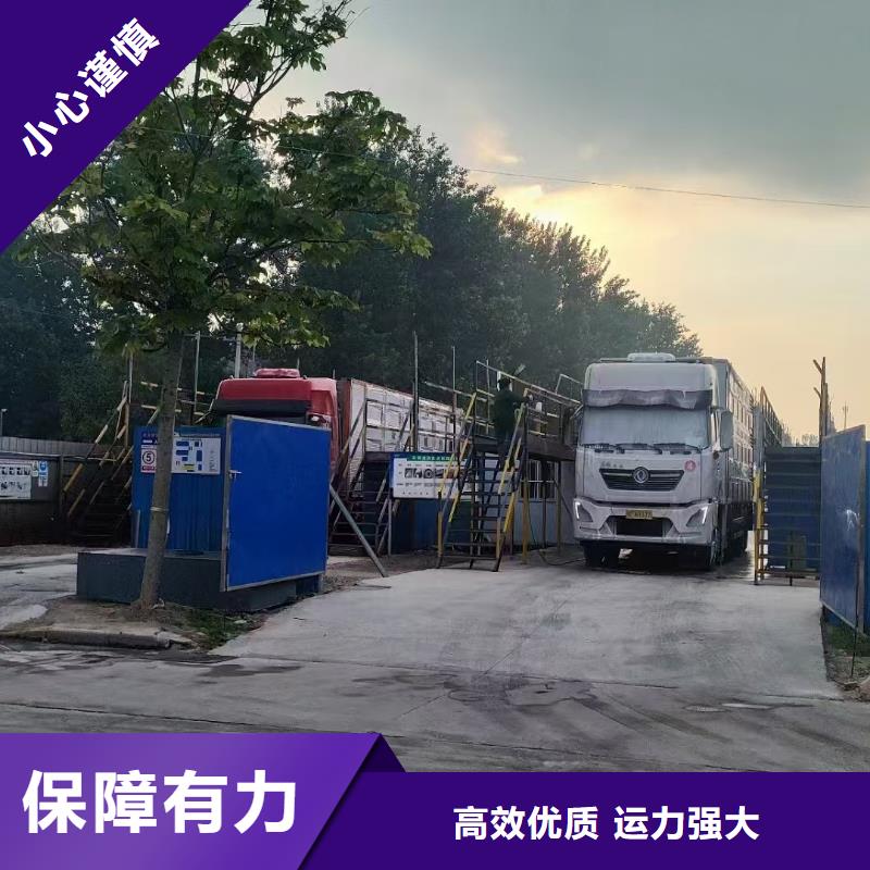 宿遷市泗洪到豬只貿(mào)易合作廣泛