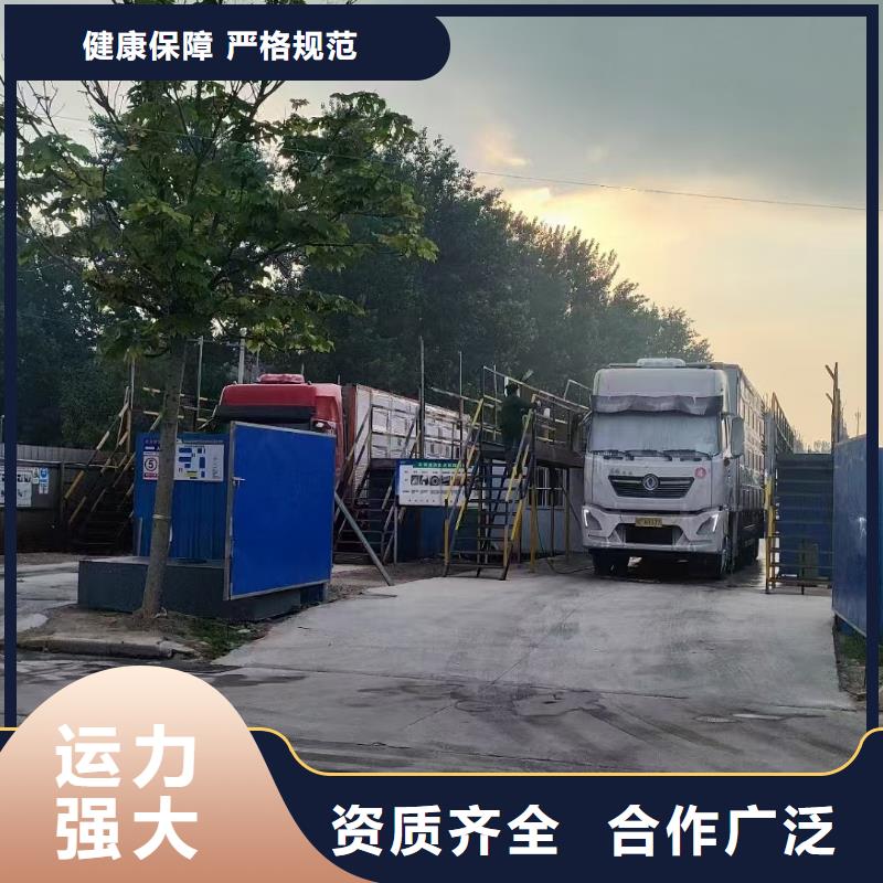宿遷市到豬只貿(mào)易無(wú)損