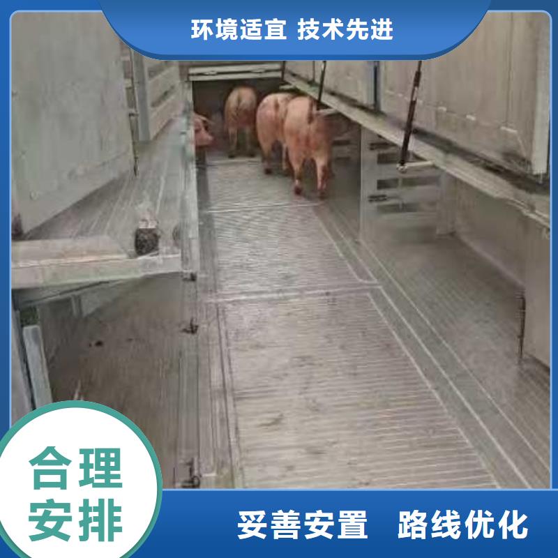 宿遷市到豬只貿(mào)易無(wú)損