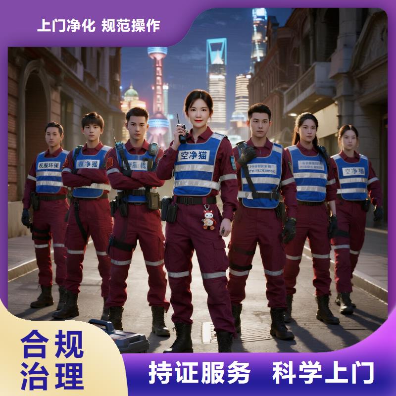 全國直營上門除甲醛檢測治理品牌空凈貓除甲醛衢州市衢江區(qū)大洲鎮(zhèn) 上門除甲醛檢測治理公司 空凈貓全國直營持證操作