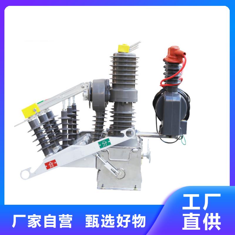 淮南ZW8A-12G/T1250-31.5真空斷路器售后無憂
