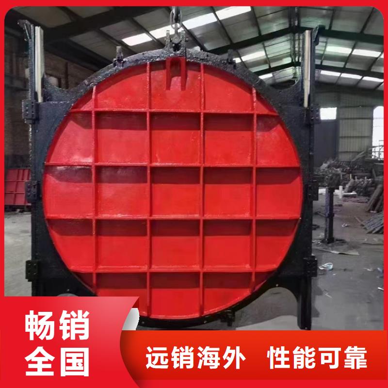 宣城城市建設(shè)機閘一體閘門技術(shù)成熟