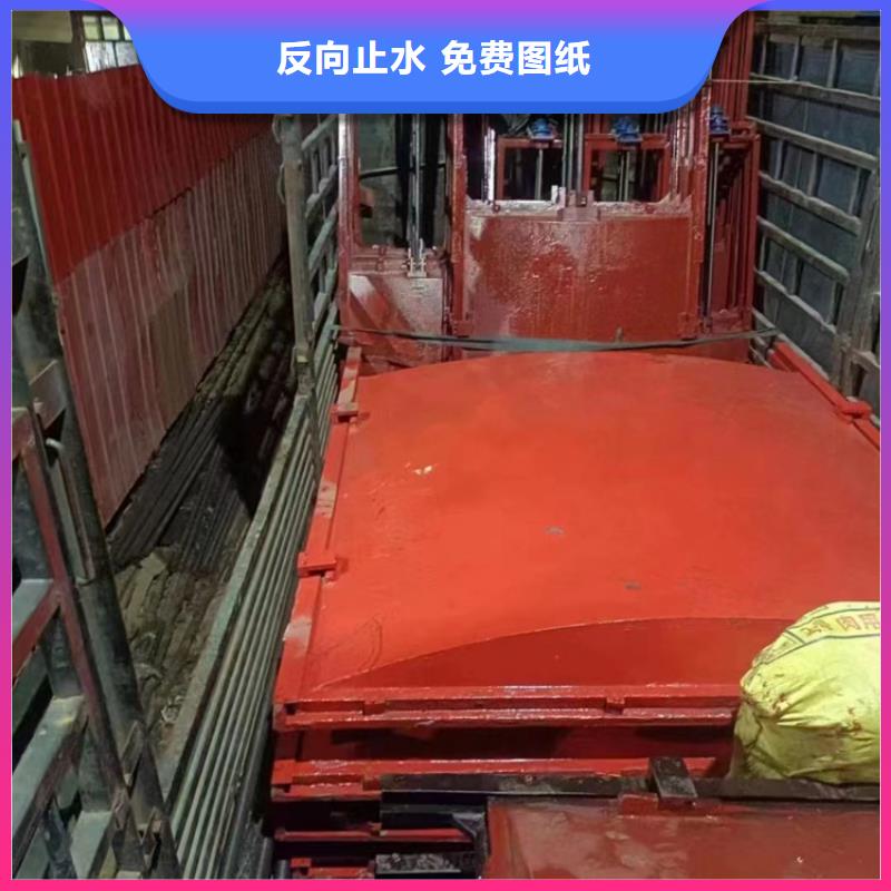 拉薩鑄鐵閘門_鑲銅鑄鐵閘門反向止水