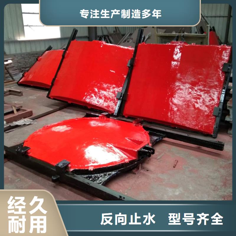 泰安堤壩暗桿式鑄鐵鑲銅閘門全國施工