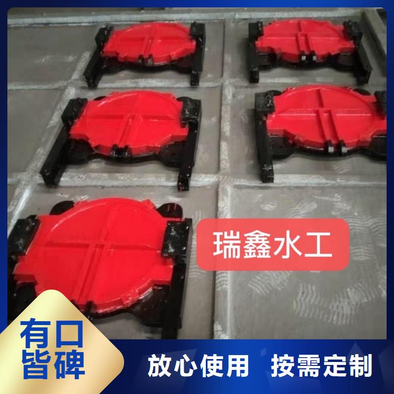 遵義堤壩河道閘門性能可靠