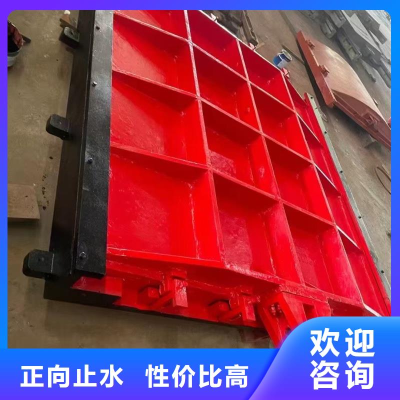 綏化水產(chǎn)養(yǎng)殖平面鑄鐵閘門性能可靠