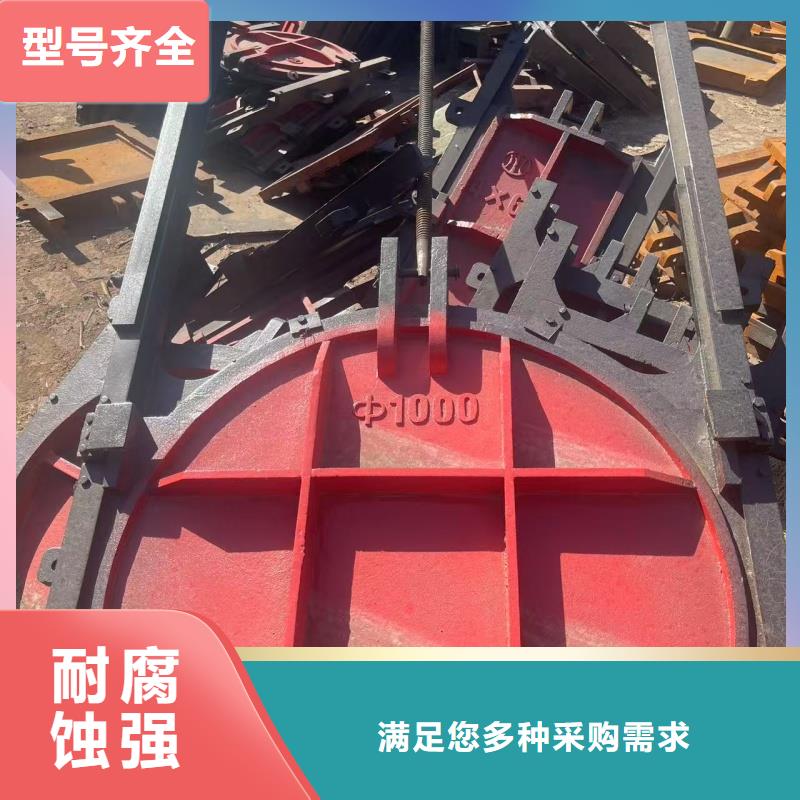 拉薩鑄鐵閘門_鑲銅鑄鐵閘門反向止水