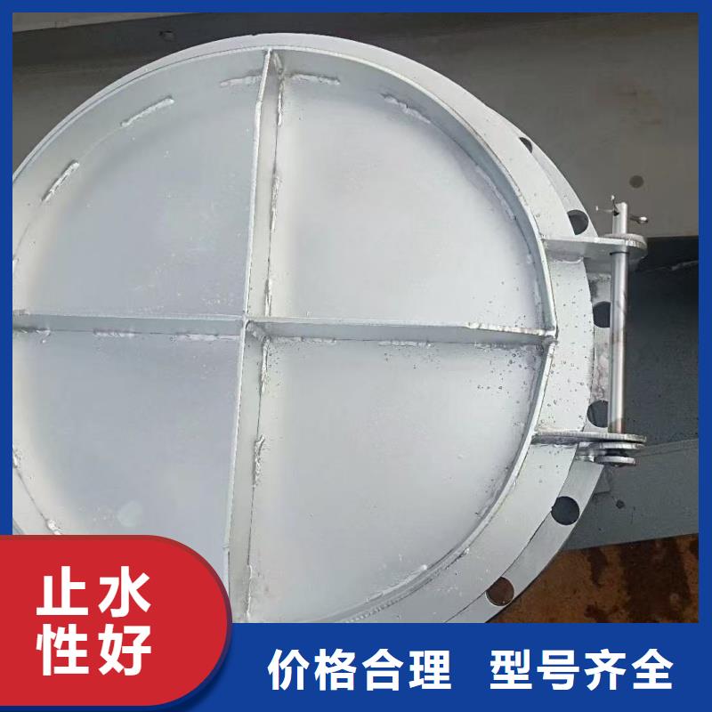 昌都市察雅縣鋼制拍門(mén)