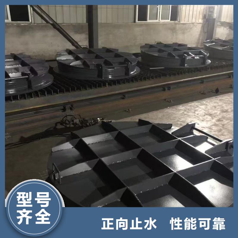 咸陽(yáng)市長(zhǎng)武縣鑄鐵拍門(mén)售后完善