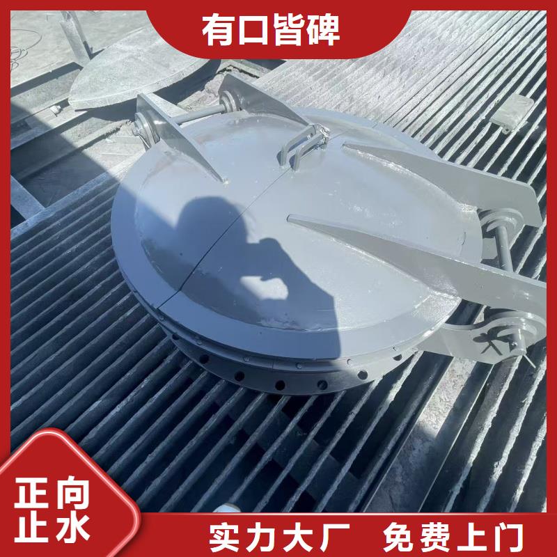 衡水市棗強(qiáng)縣鑄鐵拍門多年經(jīng)驗(yàn)