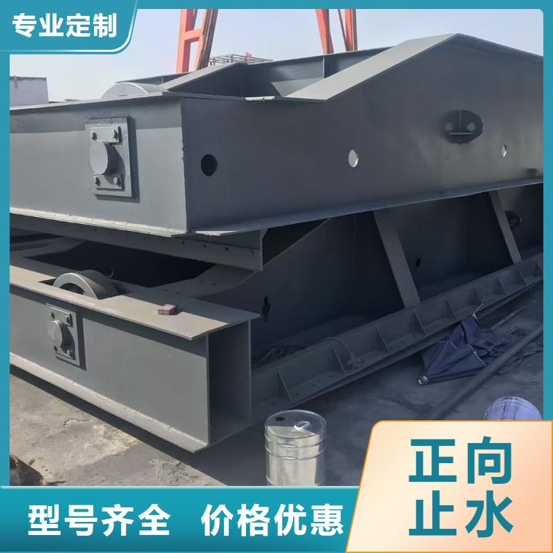 新鄉(xiāng)市輝市一體式鋼閘門滿足多種行業(yè)需求