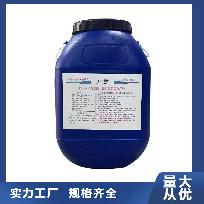 TNR-合成高分子防水涂膜生產(chǎn)加工批發(fā)QL101-Ⅱ型防腐涂料
