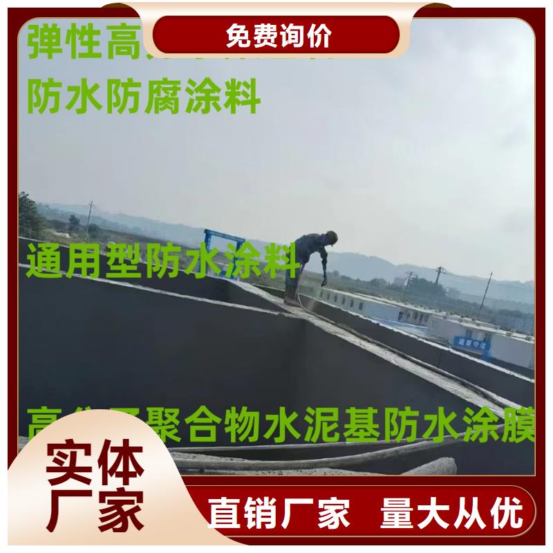 RLFA水性聚乙烯防腐涂料用心做品質(zhì)訂制批發(fā)FM-復(fù)合防腐防水涂料