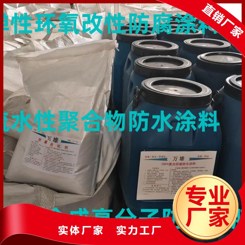 RLFA水性聚乙烯防腐涂料(污水廠)直營實力工廠SAP反應型防水粘結劑