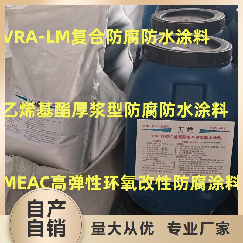 RLFA水性聚乙烯防腐涂料用心做品質(zhì)訂制批發(fā)FM-復(fù)合防腐防水涂料