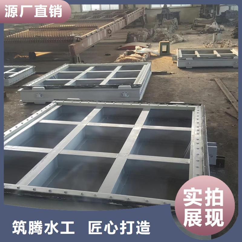 翻板閘門_翻板閘門我們更專業(yè)