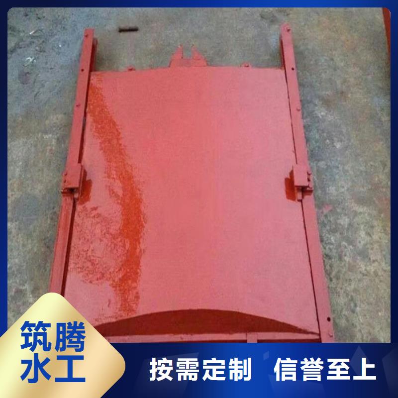 单向止水铸铁闸门源头厂家
