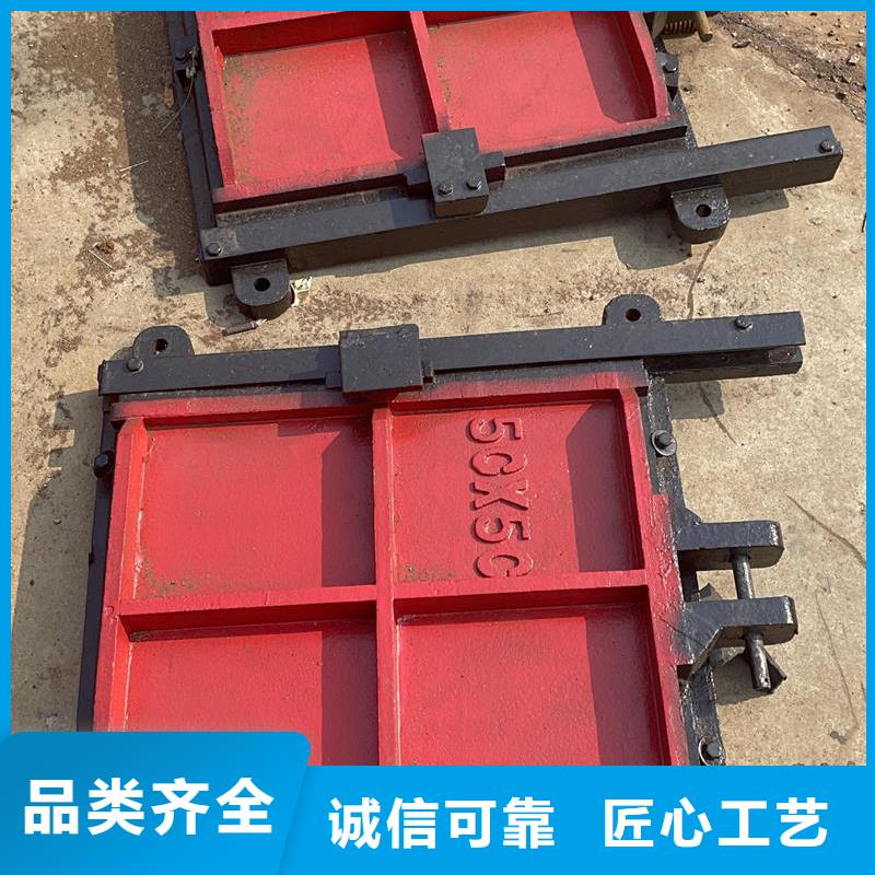 鑄鐵鑲銅閘門口碑好實力強