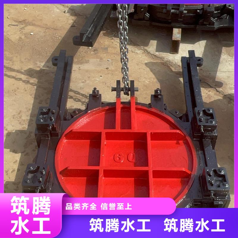 鑄鐵鑲銅閘門口碑好實力強