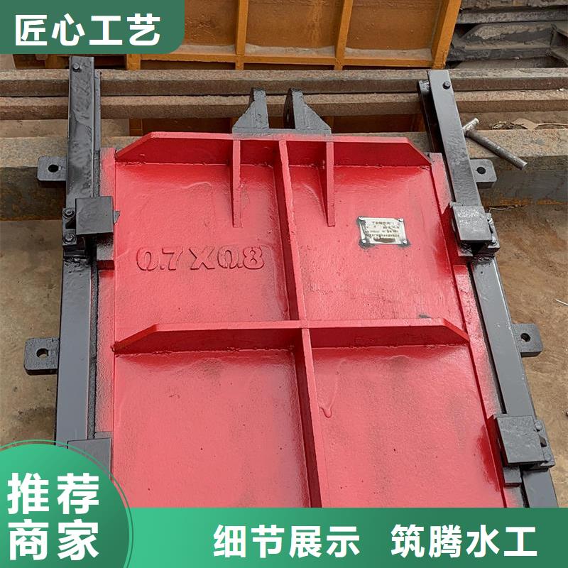 機(jī)閘一體式閘門今年新款