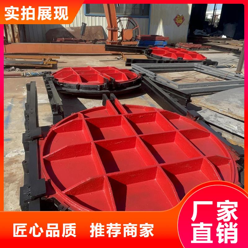 機(jī)閘一體式閘門今年新款