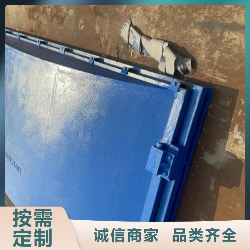 雨污分流閘門產(chǎn)品細節(jié)參數(shù)