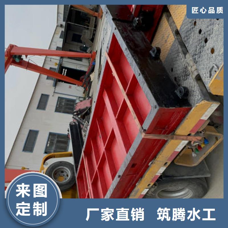 機(jī)閘一體式閘門廠家精選