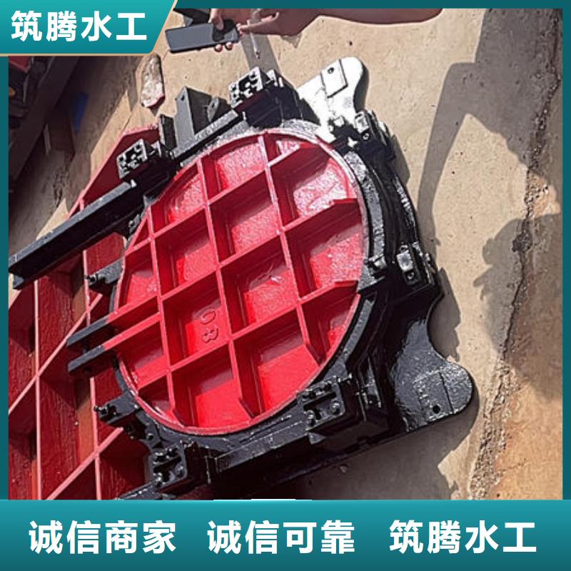 SYZ鑄鐵鑲銅圓閘門(mén)源頭廠家