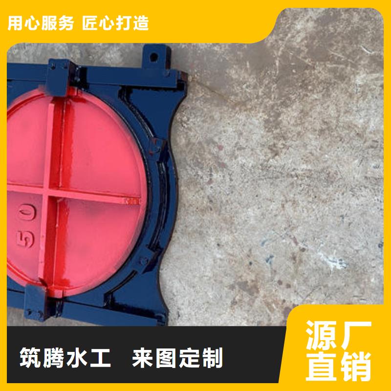 附壁式鑄鐵閘門型號齊全