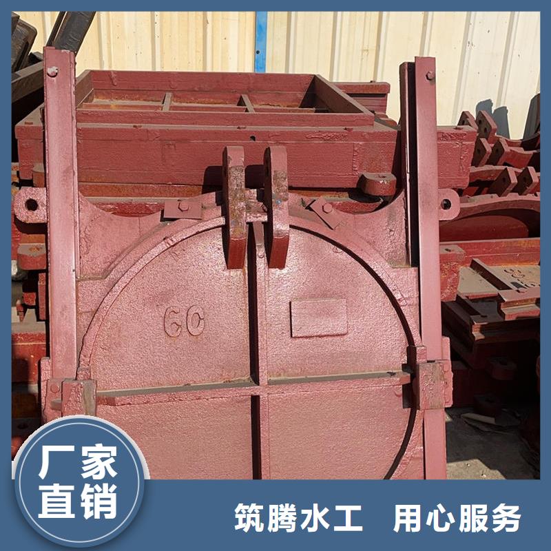 機(jī)閘一體式閘門(mén)制造生產(chǎn)銷(xiāo)售