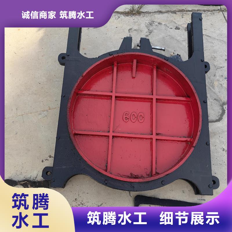 機(jī)閘一體式閘門今年新款