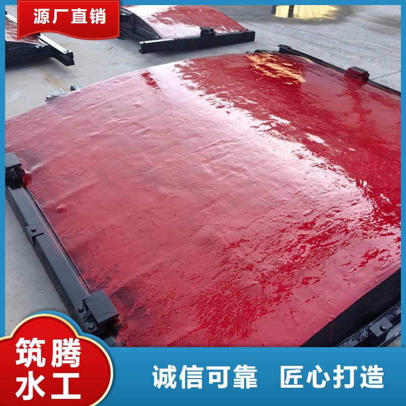 機(jī)閘一體式閘門今年新款