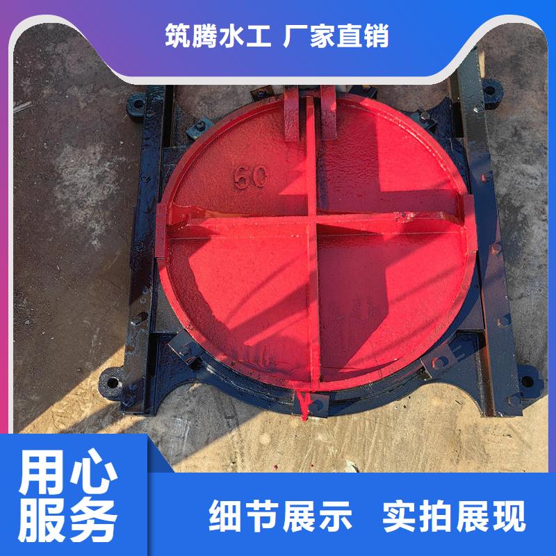 機(jī)閘一體式閘門今年新款