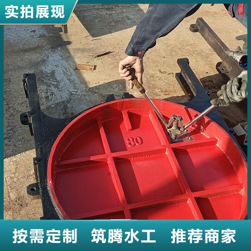 機(jī)閘一體式閘門今年新款