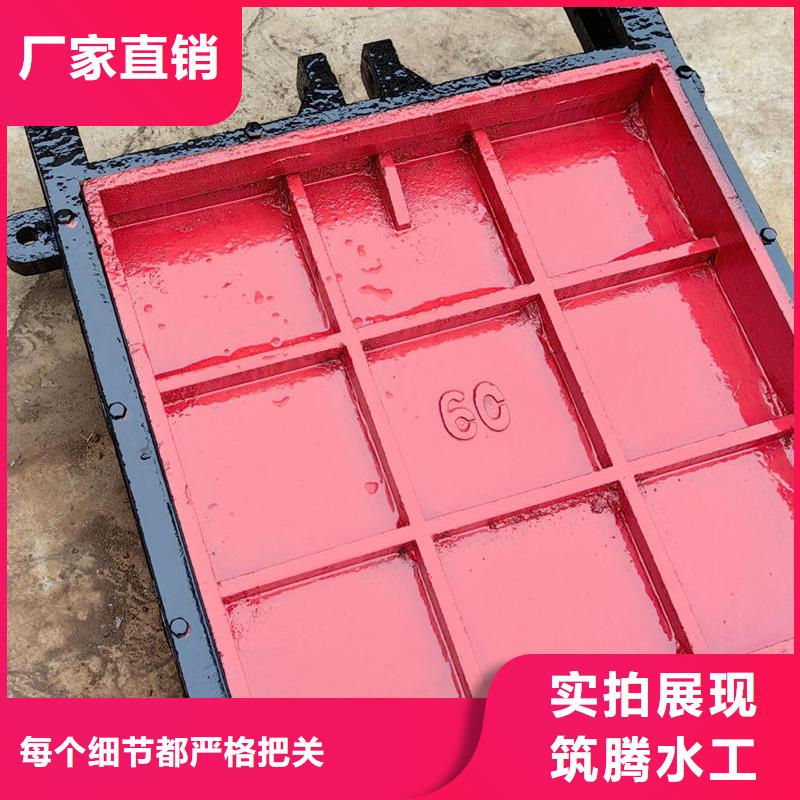 機(jī)門一體閘門實力雄厚品質(zhì)保障