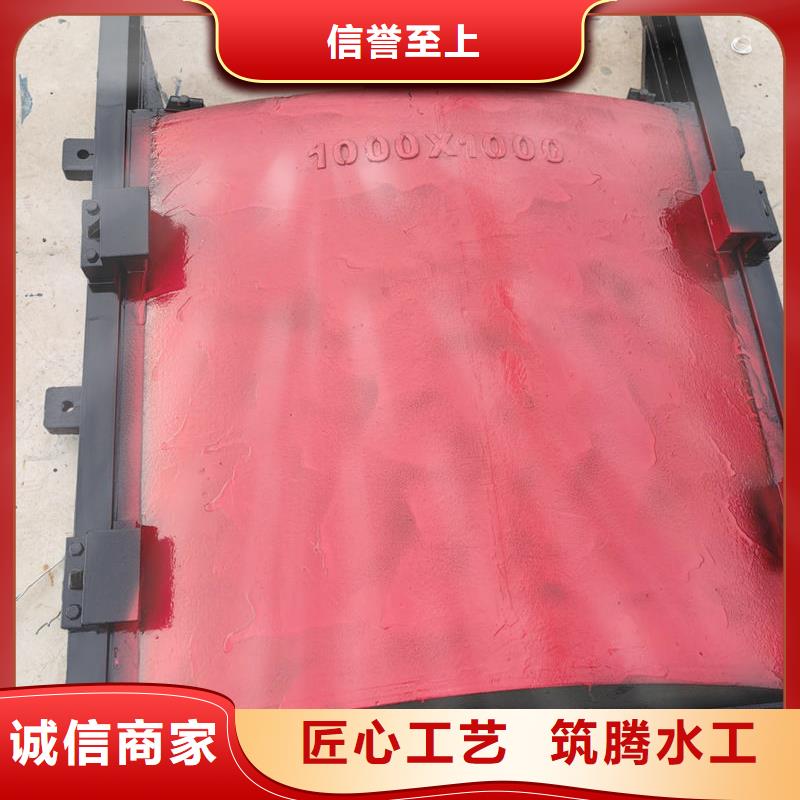 鑄鐵鑲銅閘門口碑好實力強