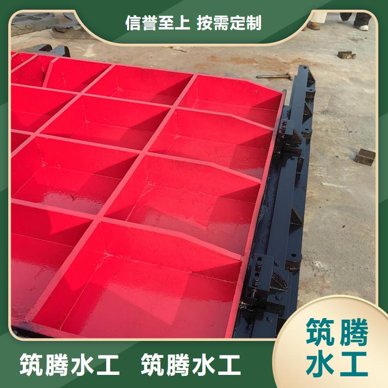 鑄鐵鑲銅閘門口碑好實力強