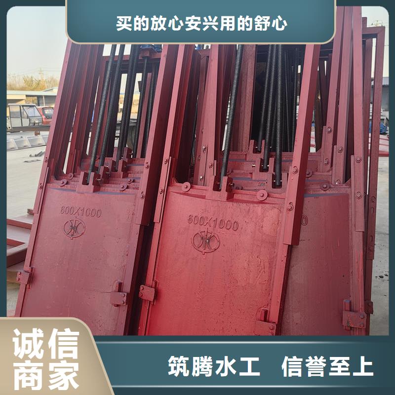 機(jī)閘一體式閘門(mén)制造生產(chǎn)銷(xiāo)售