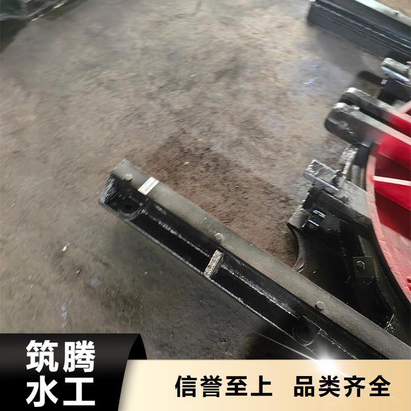 機(jī)門(mén)一體閘門(mén)今年新款